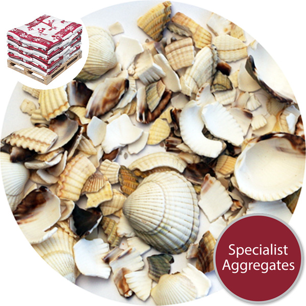 Barra Shell - Harling Repair